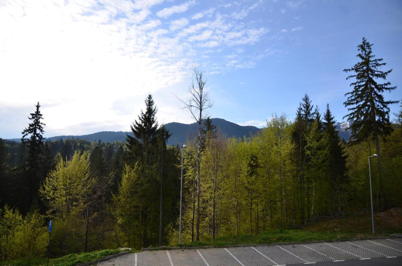 Silver Pine Apartment Poiana Brasov Esterno foto